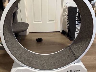 Cat Treadmill Exercise Wheel
