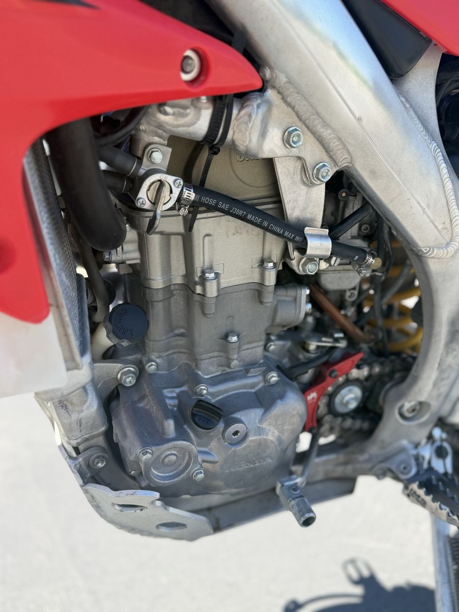 Main image 7