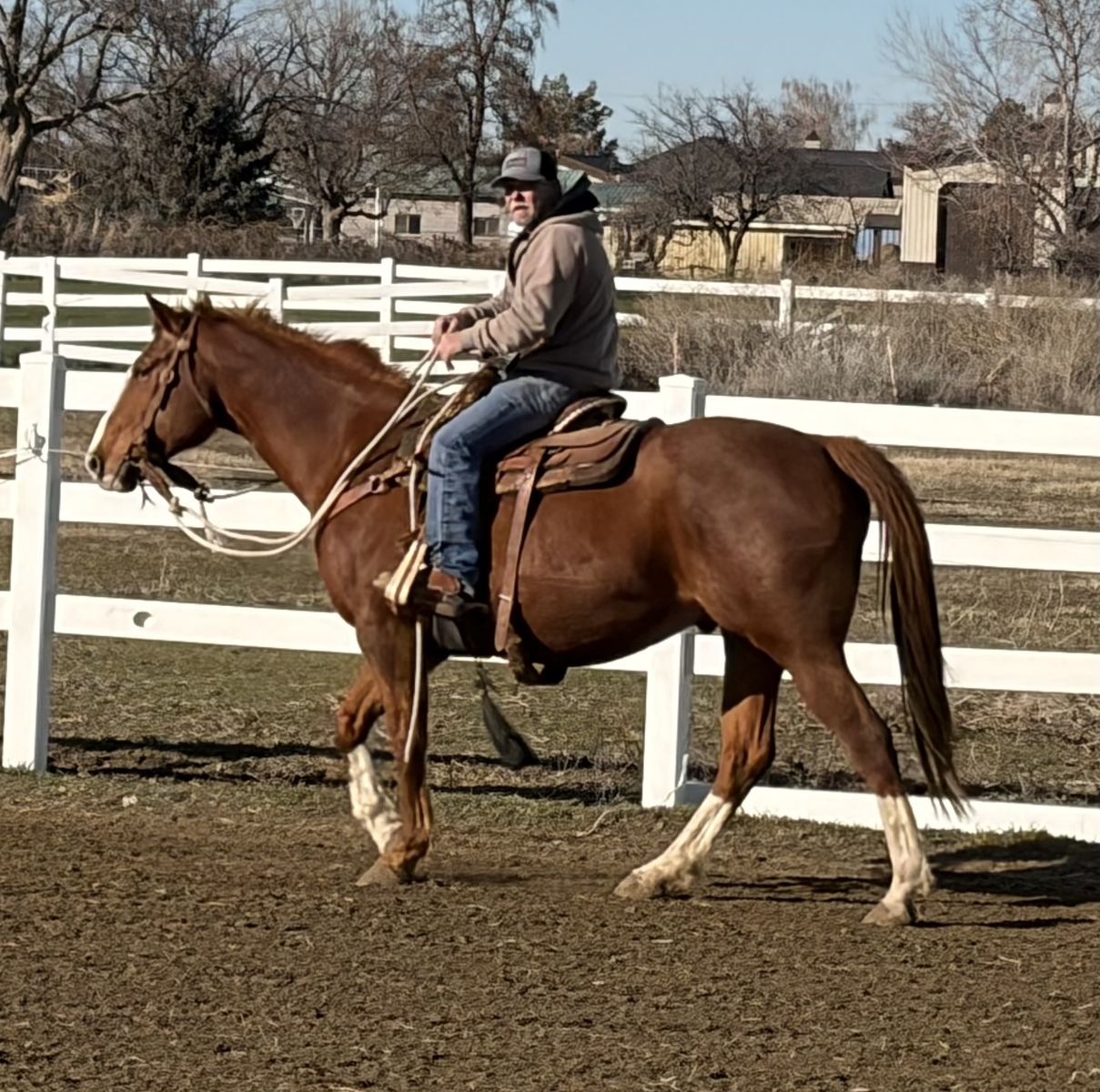 Ranch and Rope Horse