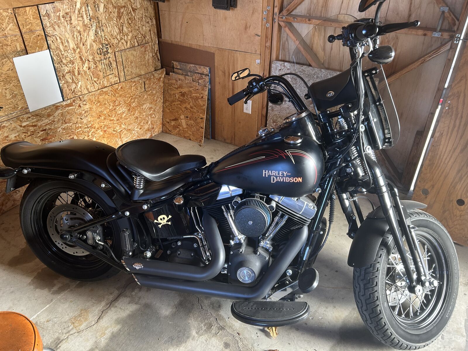 2010 Harley-Davidson FLSTSB Crossbones,