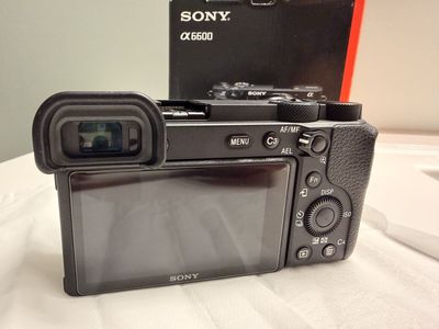 SONY a6600