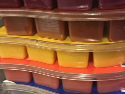 Retired Scentsy Large Bricks 17Fl