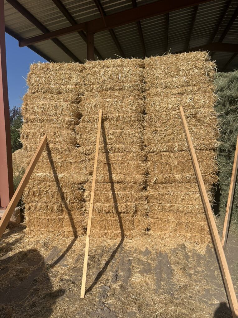 Wheat Straw