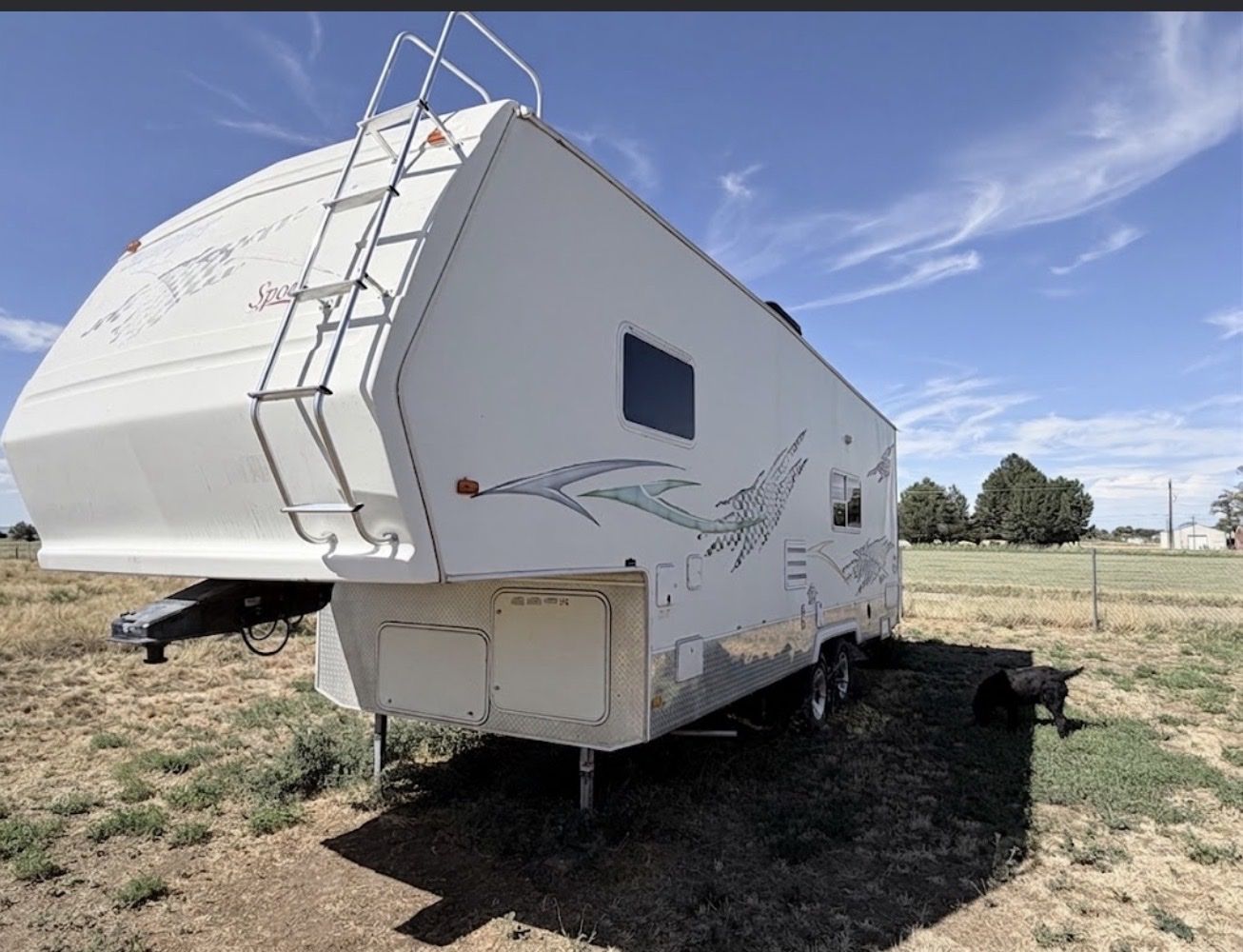 2005 Forest River Sandpiper sport
