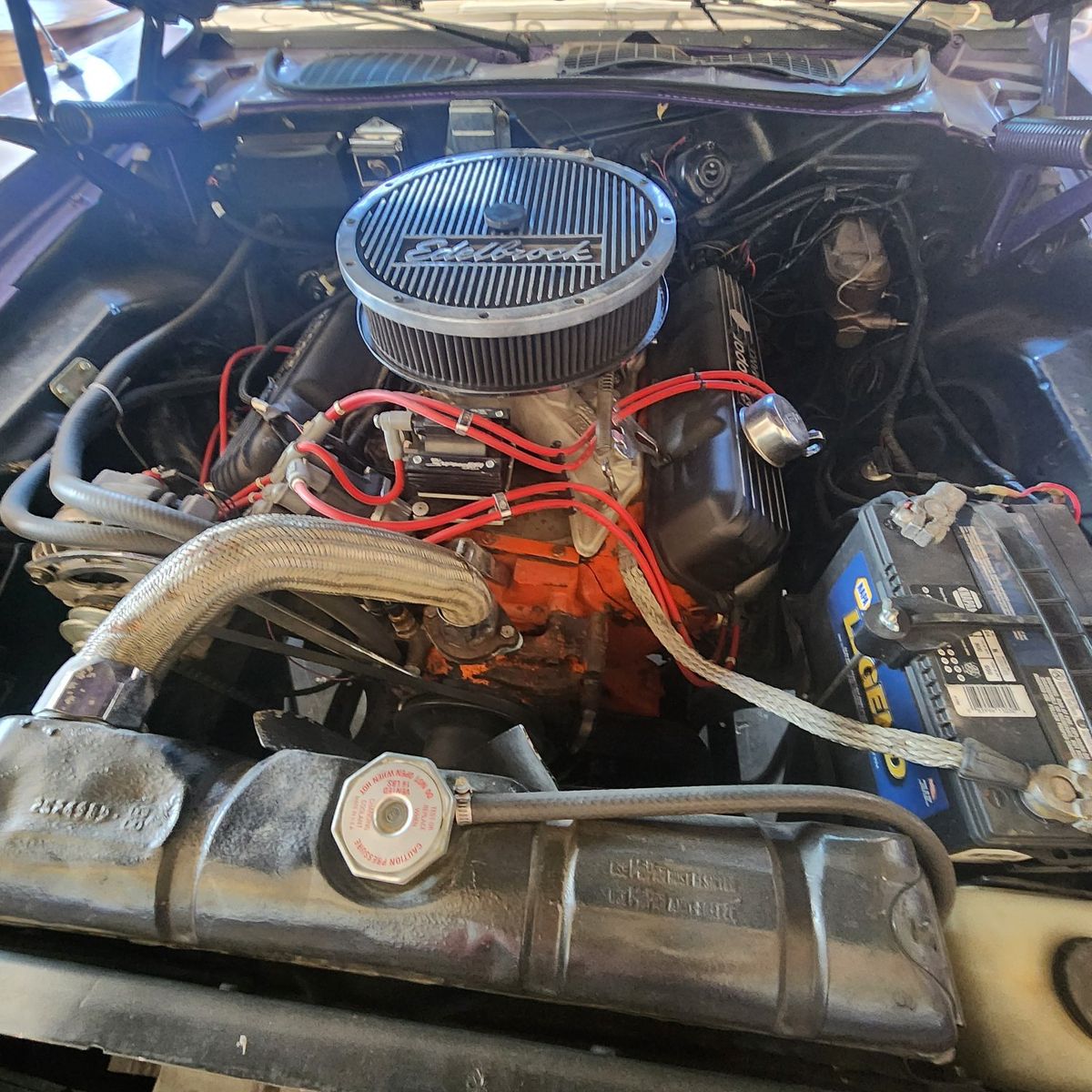 Main image 5