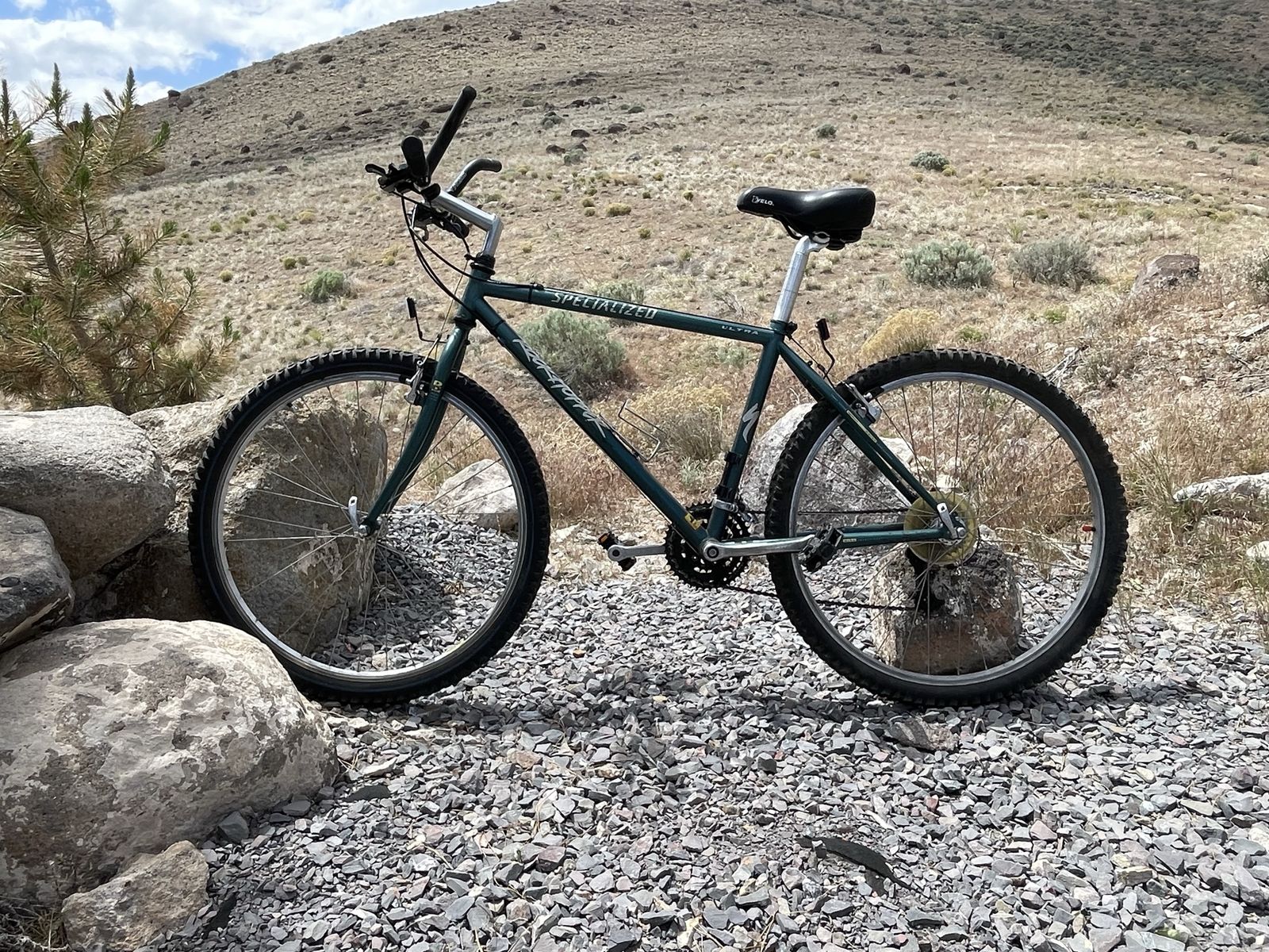 Specialized Rockhopper Mountain Bike