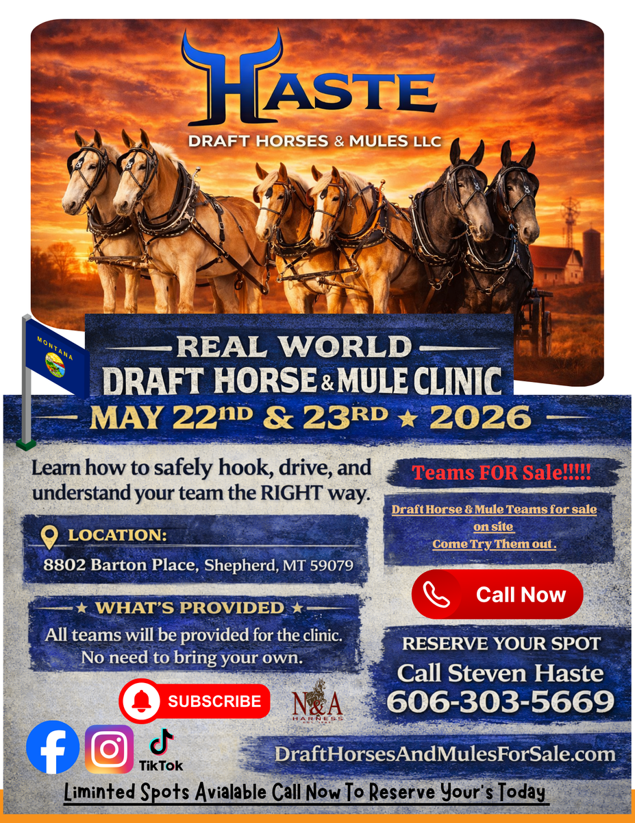 Montana Draft Horse & Mule Clinic – May 22 & 23 (Hands-On Training)