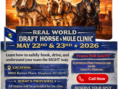 Montana Draft Horse & Mule Clinic β May 22 & 23 (Hands-On Training)
