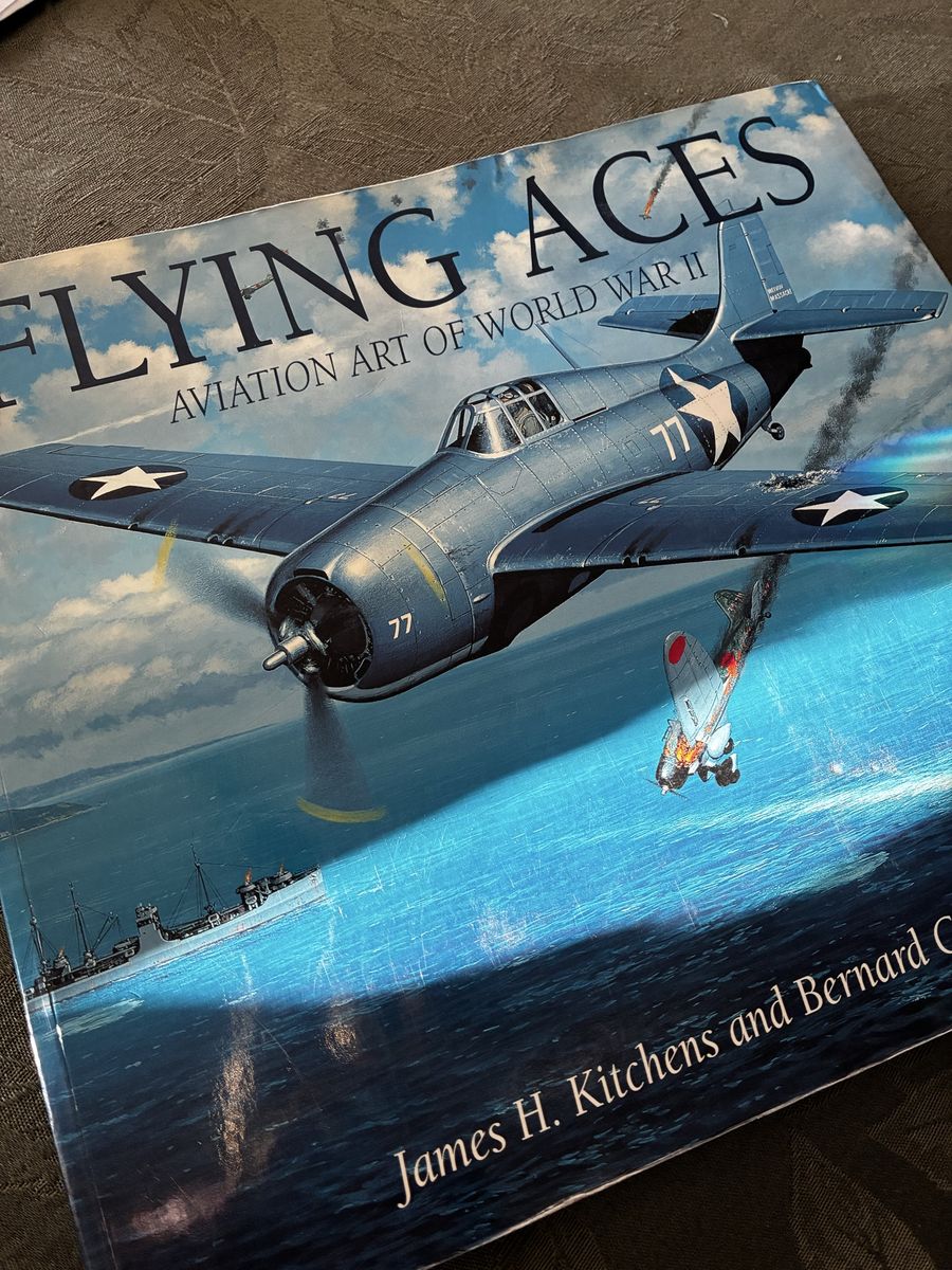 Flying Aces book