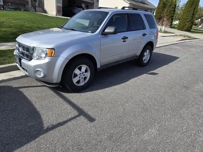 2011 FORD ESCAPE XLT
