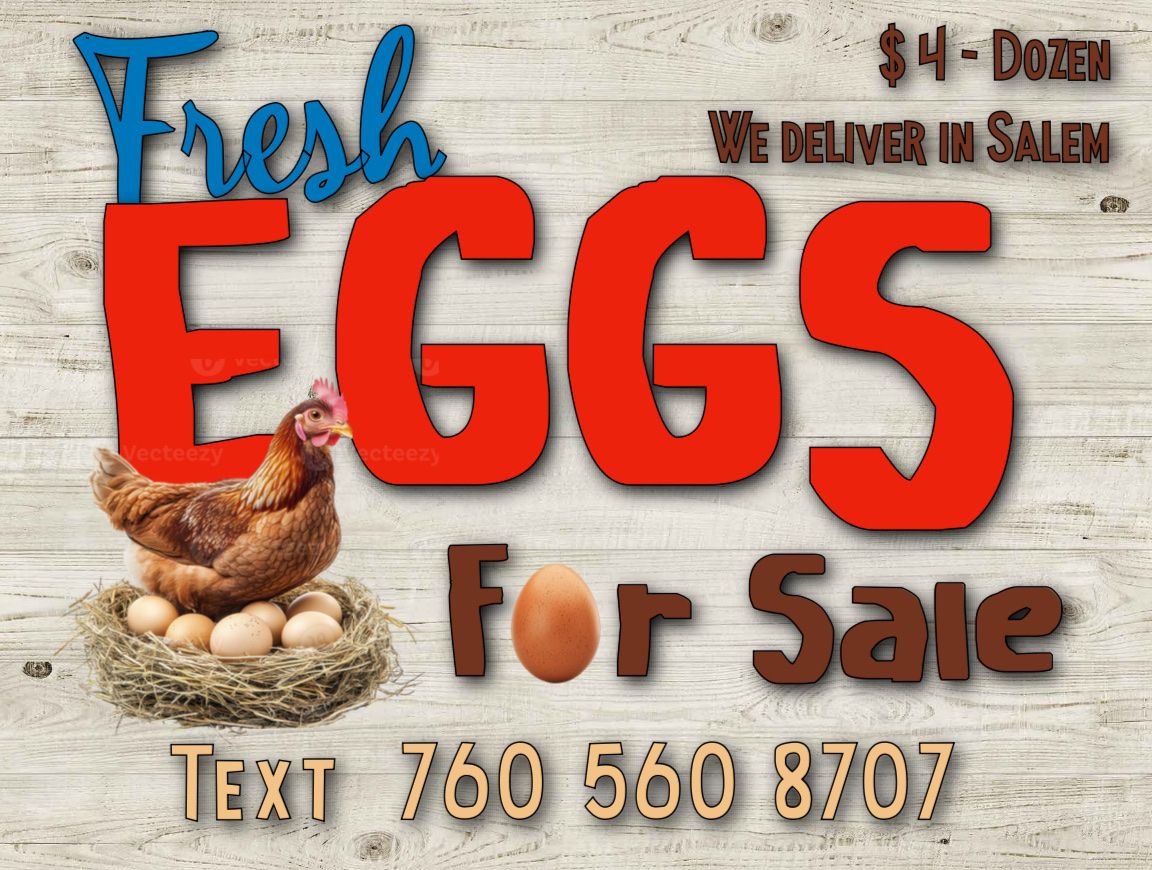Fresh Farm Eggs - $4/Dozen - Local Salem Delivery Available - Text 760-560-8707 to Order
