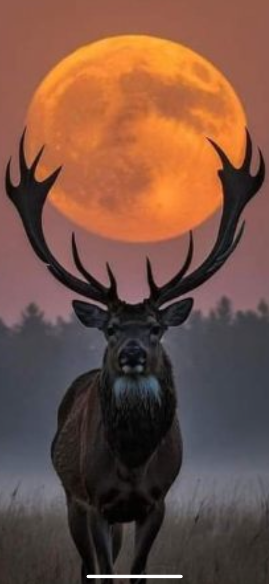 Half Acre, zoned RM in Bountiful