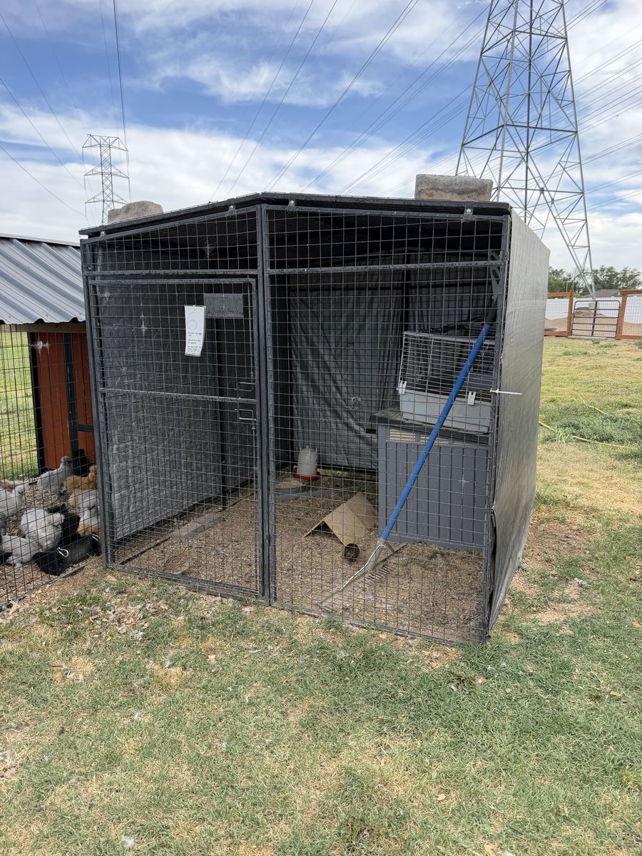 8x8 full framed dog run
