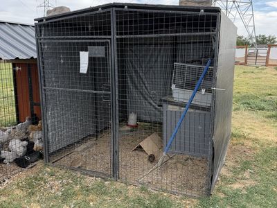 8x8 full framed dog run