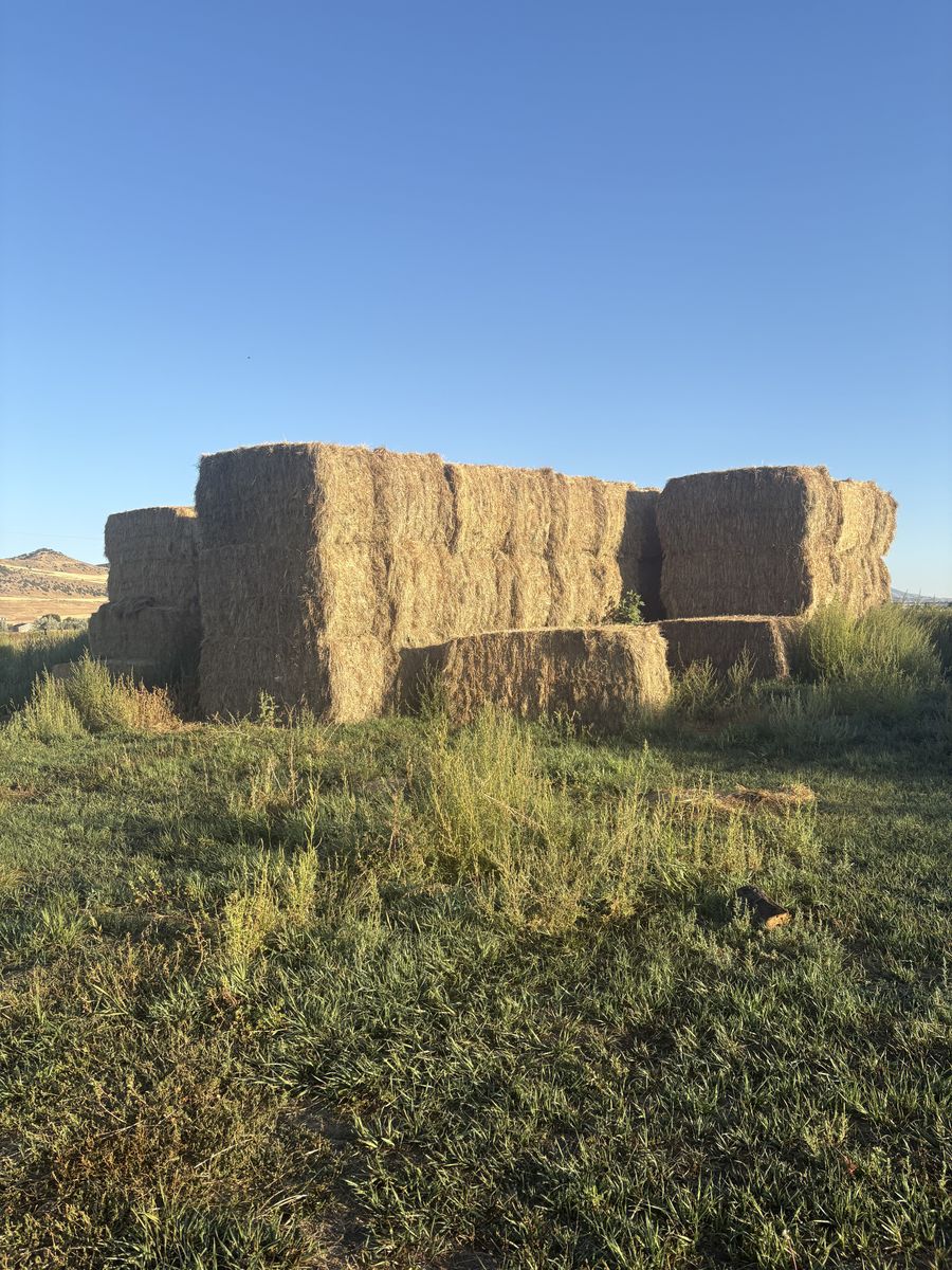 Premium Grass/Alfalfa Mix-Large 4x4x8 Bales
