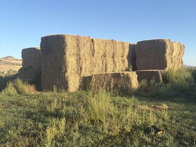 Premium Grass/Alfalfa Mix-Large 4x4x8 Bales