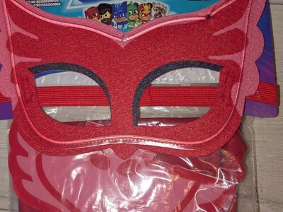 NWT PJ Masks Owlette Boys Girls Halloween Costume