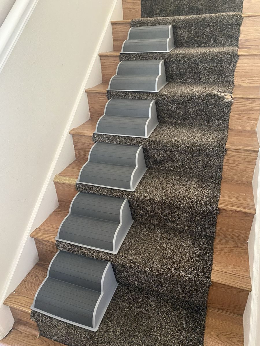 Stair Helpers For Small Dogs