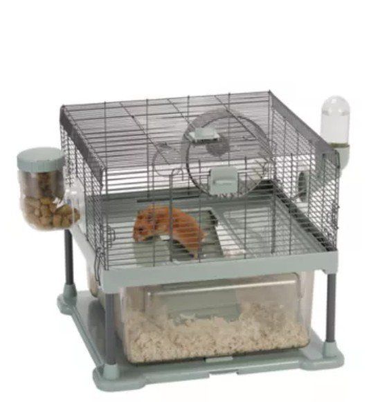 Main image 2