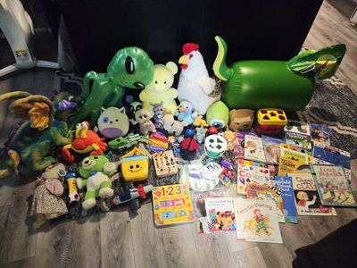 Massive Toy Bundle