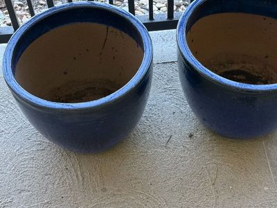 Flower Pots