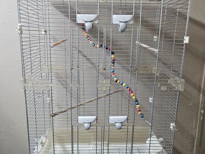 Large Vision Bird Cage