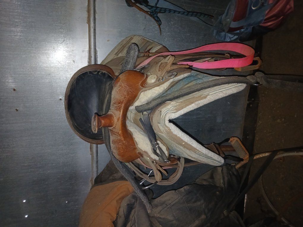Main image 3