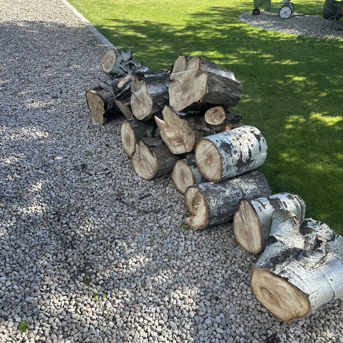 Firewood (aspen)