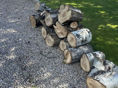 Firewood (aspen)