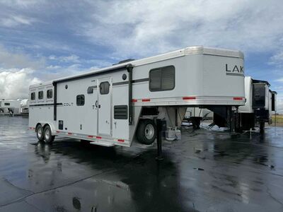 New 2026 Lakota Colt LQ 3 Horse