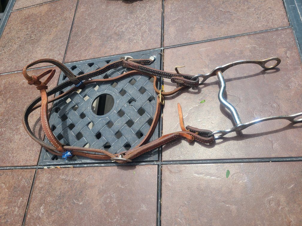 Horse Bit browband and headstall