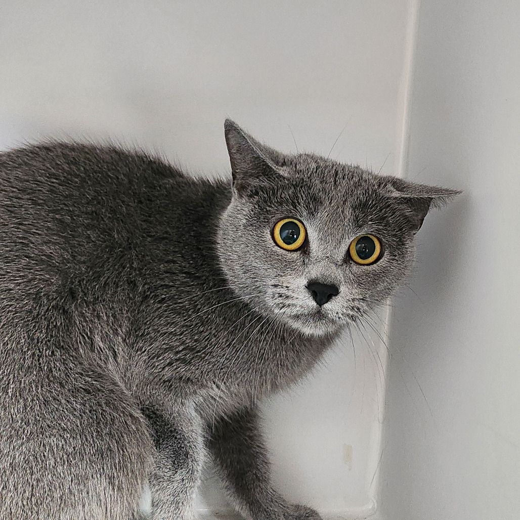 Hello my name is Donna