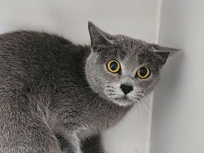 Hello my name is Donna