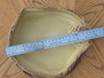 Exo Terra Reptile Water Dish/Food Bowl - Large, Rock-Effect Design, 10.5" x 8.5" x 2.75" Tall