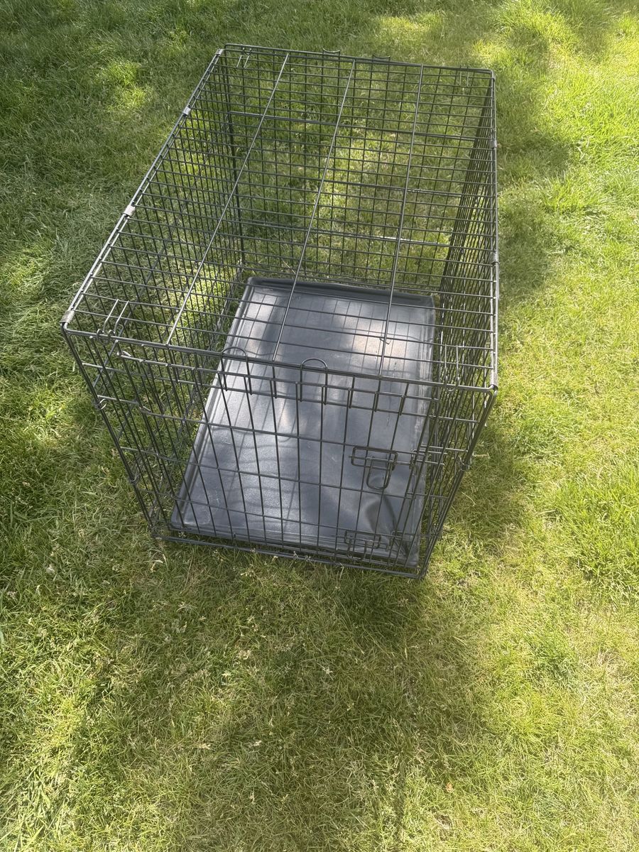 Folding dog crate