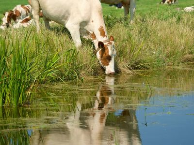 Paying Cash for Utah Lake Water Shares
