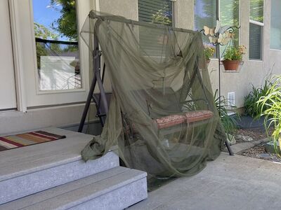 Mosquito Net Tent