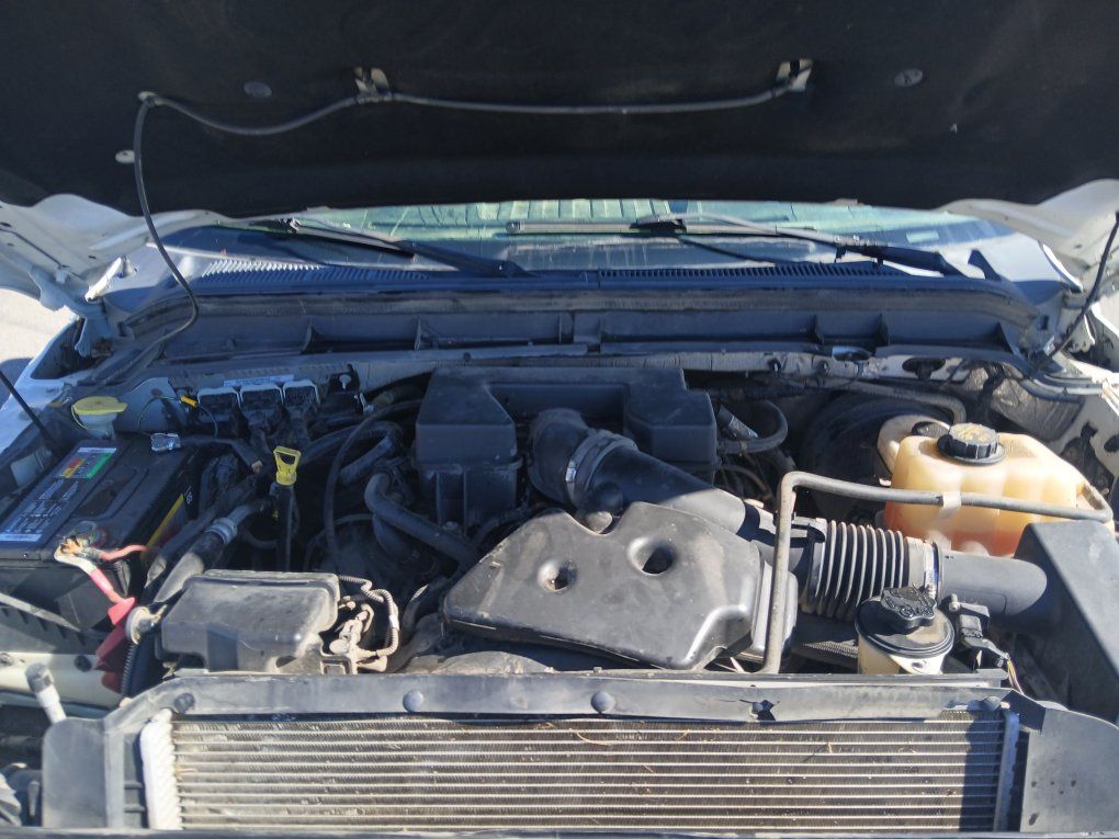 Main image 8