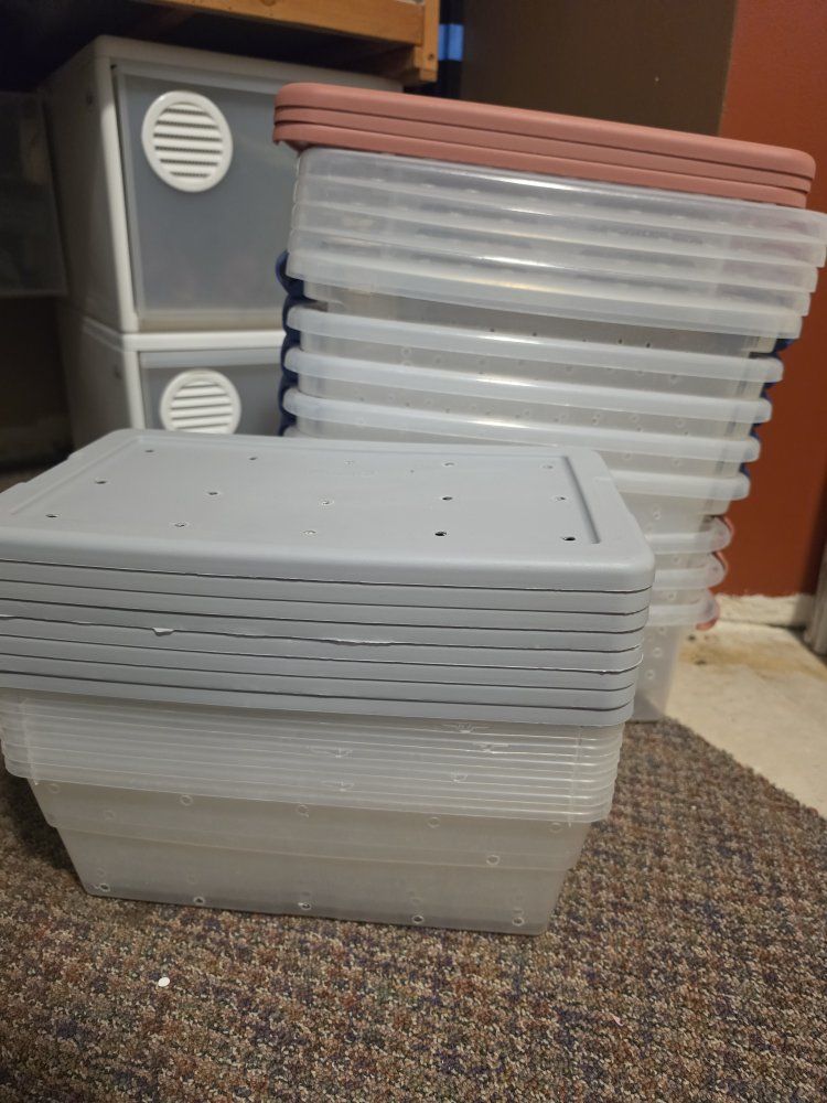 Clear Plastic Reptile/Rodent Breeding Tubs with Vented Lids