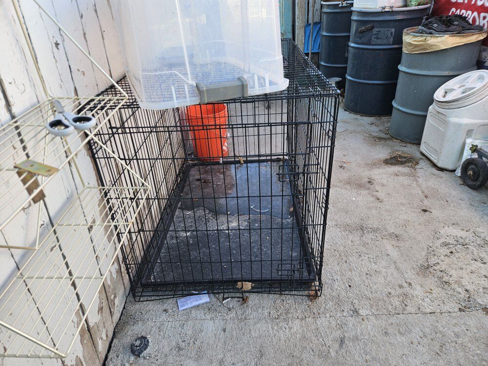 very very large wire kennel