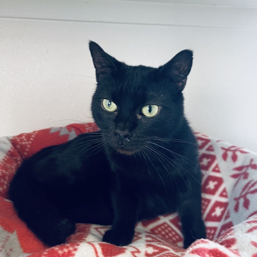 Hello my name is Rosaria