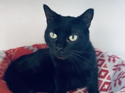 Hello my name is Rosaria