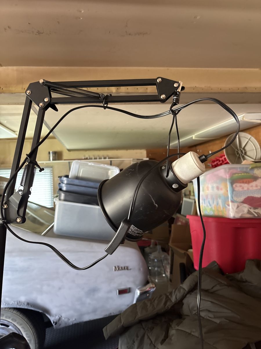 Reptile lamp