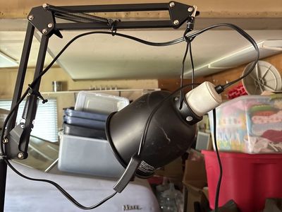 Reptile lamp