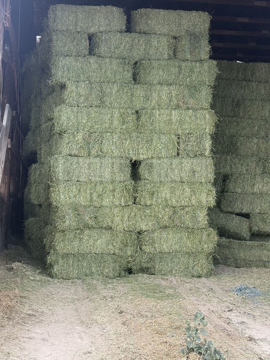 Hay in barn For Sale