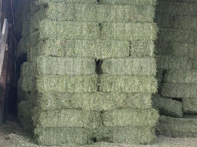 Hay in barn For Sale