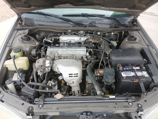 Main image 7