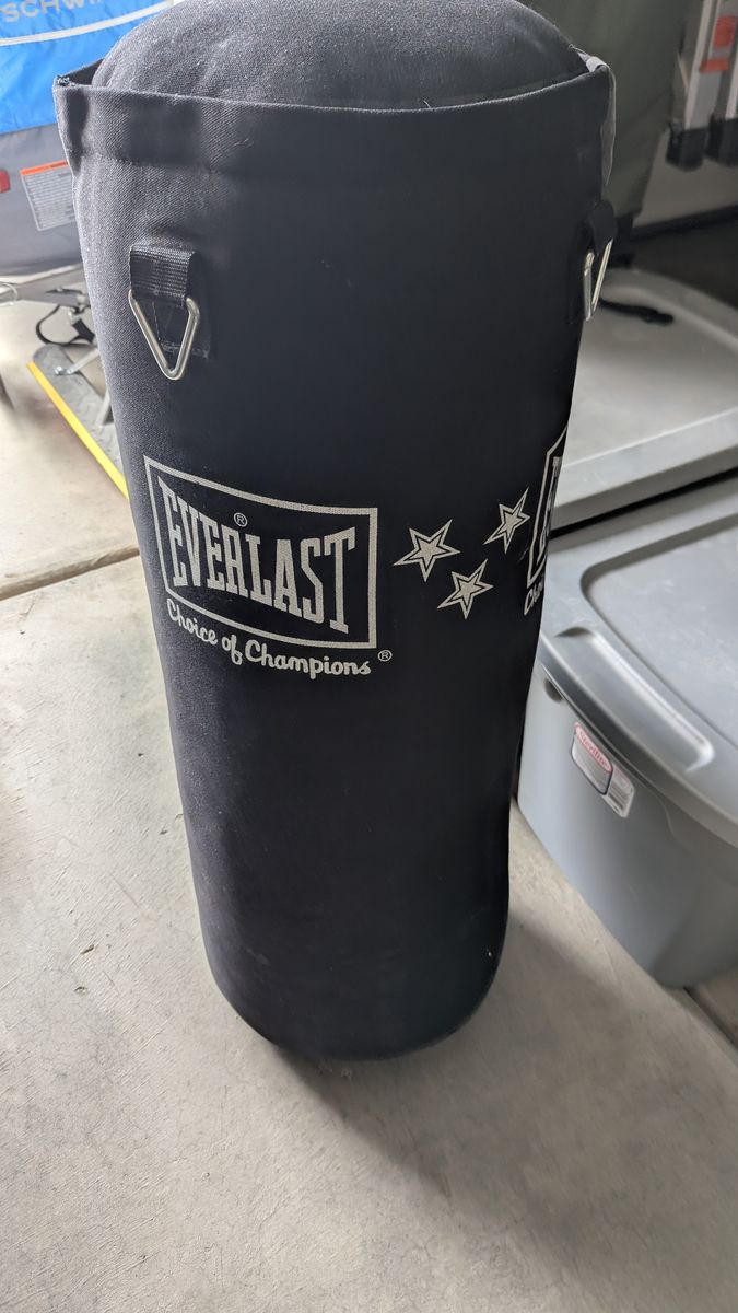 Everlast punching bag