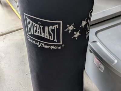 Everlast punching bag