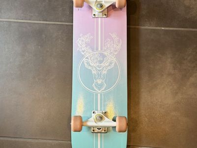 skate board